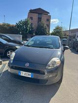 Fiat FIAT Punto 1.4 8V 5 porte Natural Power Street c - Fiat Punto: Natural Power