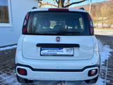 Fiat Panda 1.2 City Cross *1.Hand*Klima*PDC*TÜV 08.26 - Fiat Panda: Cross