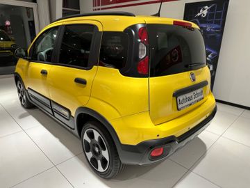 Bild 6 Fiat Panda Pandina Cross