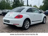 Volkswagen Beetle Club BMT*Allwetter*PDC*Soundsystem* - gebrauchte VW Beetle aus dem Jahr 2015