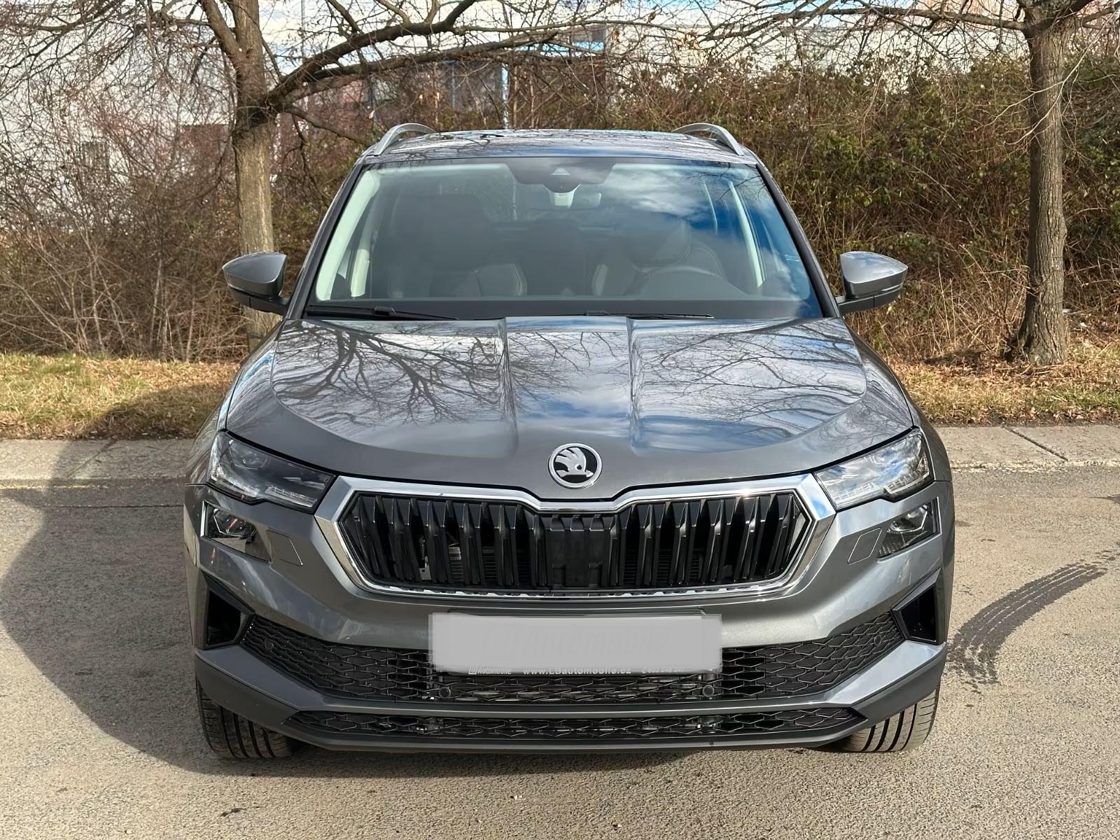 Skoda Karoq 1.5l TSI ACT DSG Edition ACC Kamera AHK