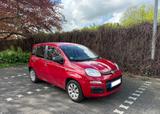 Fiat Panda Pop KLIMA - Fiat Panda POP mit Benzin-Antrieb