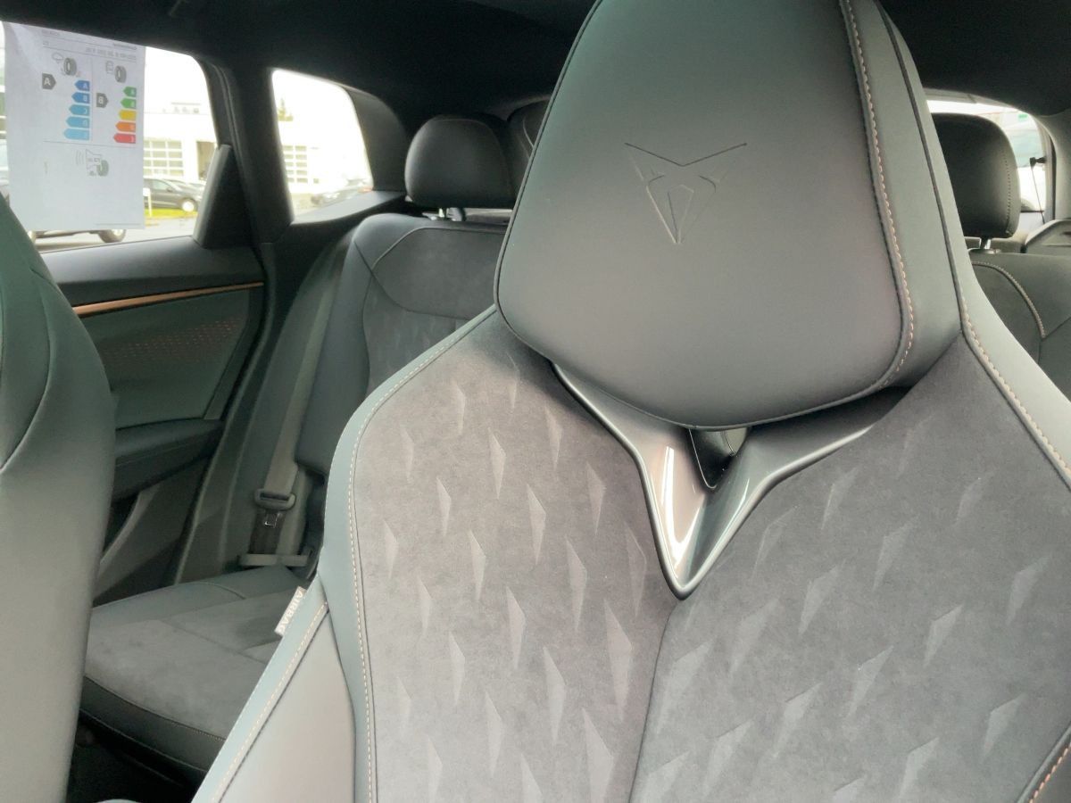 Cupra Terramar - Bild 19
