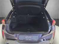 Cupra Terramar - Vorschau Bild 10