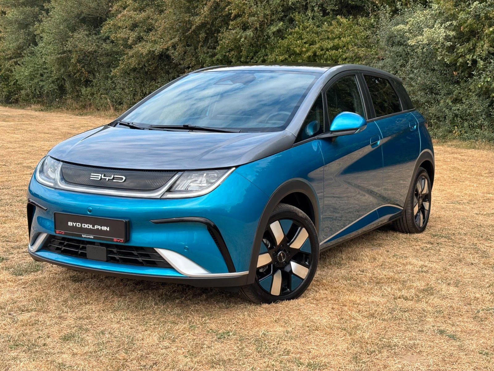BYD DOLPHIN Design