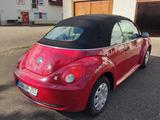 Volkswagen New Beetle 1.4 Cabriolet - - rote Volkswagen New Beetle