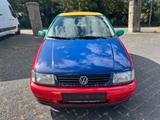 Volkswagen Polo 1.0*HARLEKIN*SONDERMODELL* - Volkswagen Polo: Harlekin