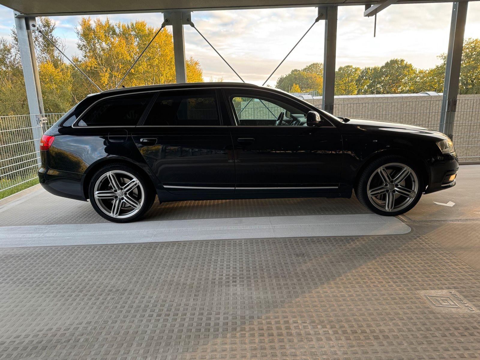 Audi Quattro 2010 — rear view