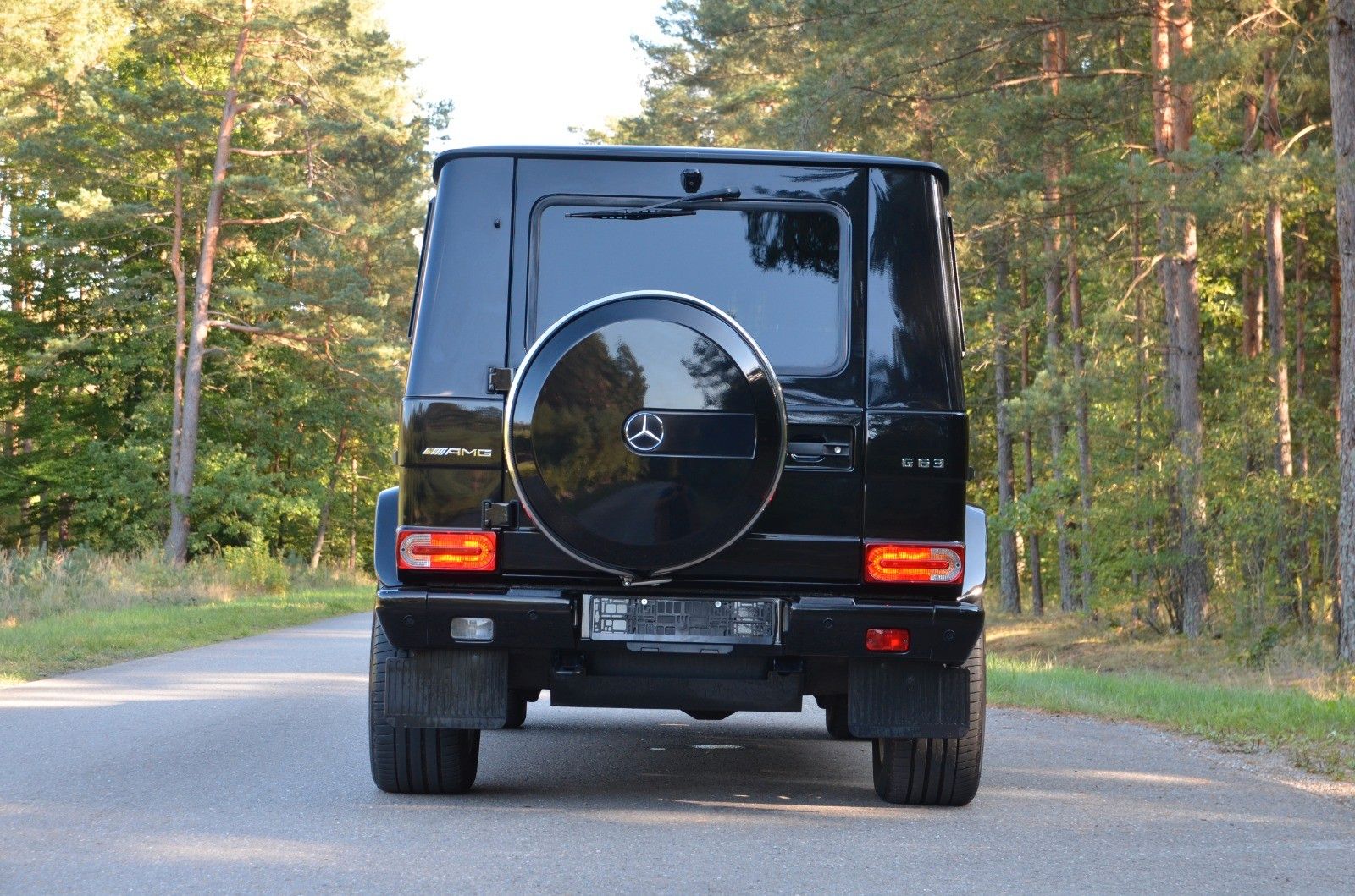2015 Mercedes Benz G 63
