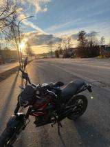 Zündapp ZXN 50 - ZÜNDAPP VON 1 BIS 50 CCM