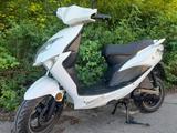 Beeline Tapo 45 km Papiere  - BEELINE MOTORRAD