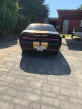 Dodge Challenger - Dodge Challenger aus 2021