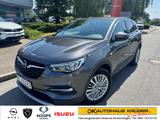 Opel Grandland X Dynamic 1.2 Turbo AHK+SHZ+LHZ+Kamera - Opel Grandland (X) in Rostock