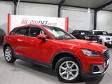 Audi Q2 1.6 TDI DESIGN / VIRTUAL-COCKPIT / PANORAMA - Audi: Geländewagen, Q6