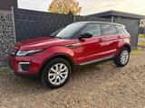 Land Rover Range Rover Evoque 2.0 Td4 SE Leder Keyless Kame - Land Rover Range Rover Evoque in Aachen