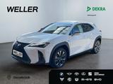 Lexus UX 250h F SPORT Design *Bi-LED*ACC*RCam*SHZ*PDC* - Lexus Gebrauchtwagen in Stuttgart