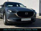 Mazda CX-30 Mildhybrid / 360-Kamera - Mazda Gebrauchtwagen in Stuttgart