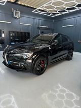 Alfa Romeo Stelvio 2.9 V6 Bi-T. 375kW Quadrifoglio AT8-... - Alfa Romeo: Quadrifoglio