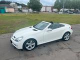 Mercedes-Benz 2LOOK EDITION, Sportpaket, SLK 200, Kompressor  - Mercedes-Benz Cabrio aus dem Jahr 2009