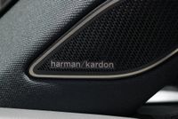 Volkswagen Tiguan 2.0TSI DSG 4Motion R-Line BlackStyle Pano