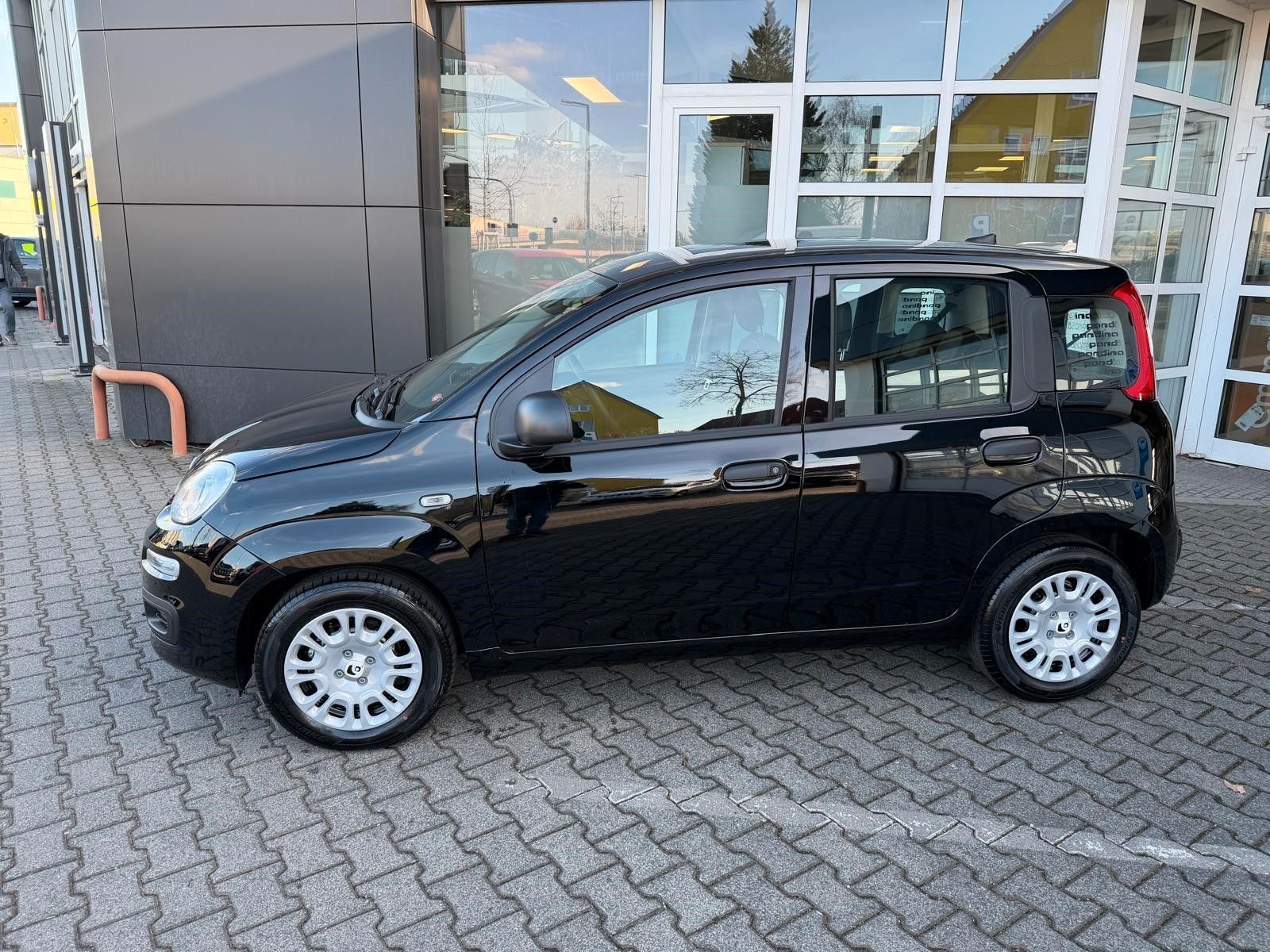 Fiat Panda Pandina 1.0 Hybrid Icon imagem 3