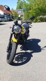 Ducati Scrambler icon 800 - DUCATI 800