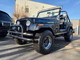 Jeep CJ orig. 4,9 V8 4x4 Tüv H-Kennzeichen - Jeep CJ Gebrauchtwagen