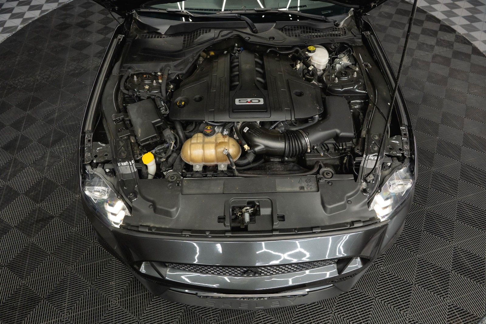 Fahrzeugabbildung Ford Mustang Shelby GT 500 5.0 V8 Performance CarPlay