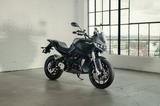 Zero DSR ZF 17,3 6,6 KW Lader DSR/X - Offers
