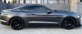 Ford Mustang GT 5.0 Ti-VCT V8  SYNC3 Black Acc Paket - Ford Mustang Black Gebrauchtwagen