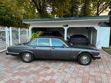 Jaguar Sovereign V12 XJ  - graue Jaguar XJ12