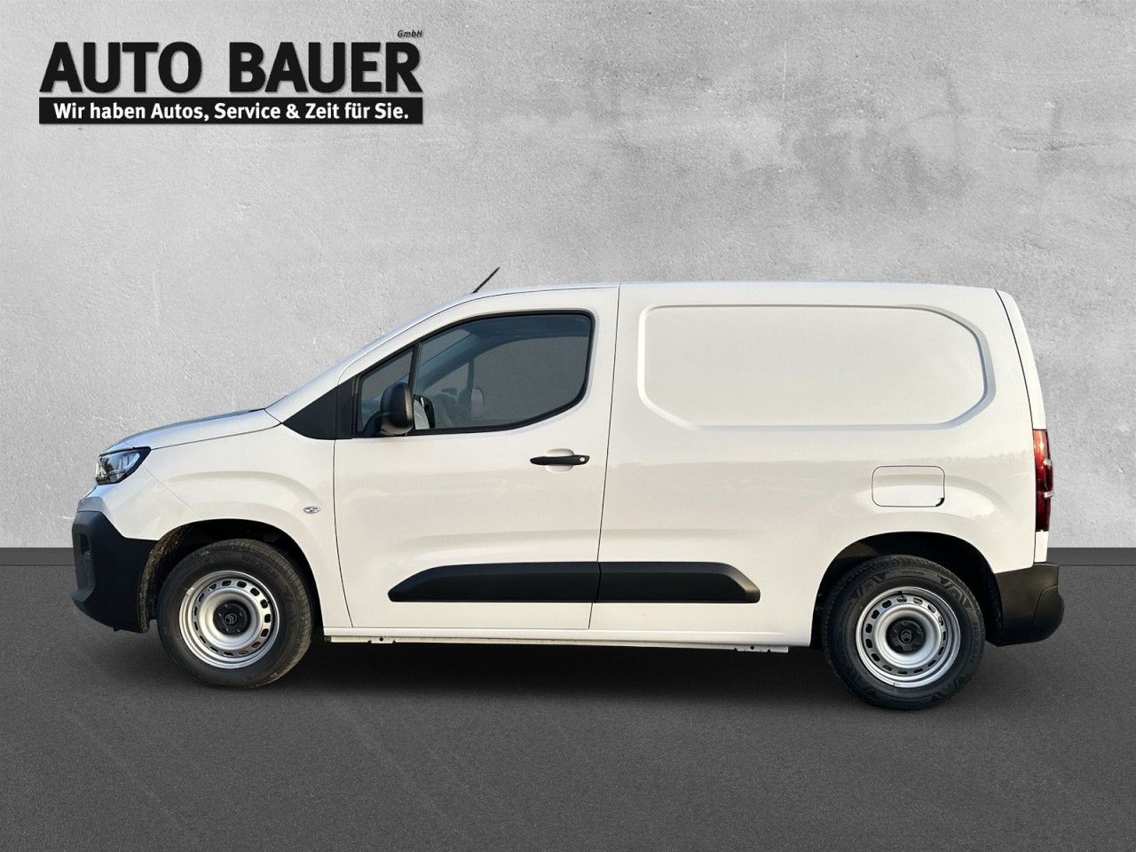 Fahrzeugabbildung Citroën Berlingo Kastenwagen M Diesel 100