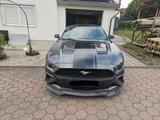 Ford Mustang 2.3 EcoBoost | Bastuck Komplettanl. - Ford Mustang: 2.3