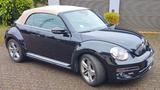 Volkswagen Beetle 1.2 TSI BMT Exclusive Design Cabriole... - Volkswagen Beetle: Exclusive Design