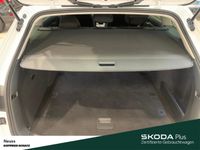 Skoda Superb - Vorschau Bild 10