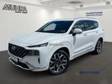 Hyundai SANTA FE 2.2 CRDi SIGNATURE SEVEN 4WD 20"LM - Hyundai SANTA FE: Seven
