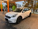 Kia Niro 1.6 GDI Hybrid Edition 7  - Kia Niro von privat