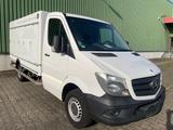 Mercedes-Benz Sprinter 313 CDI/ Carslen*5+5*ICE*-40 Grad - Offers
