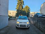 Fiat Panda 1.4 8V Natural Power,Klima,CD,El.Fenster - Fiat Panda mit CNG-Antrieb
