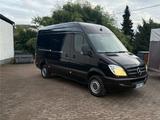 Mercedes-Benz Sprinter 313 CDI - Mercedes-Benz Sprinter: Van, Merc