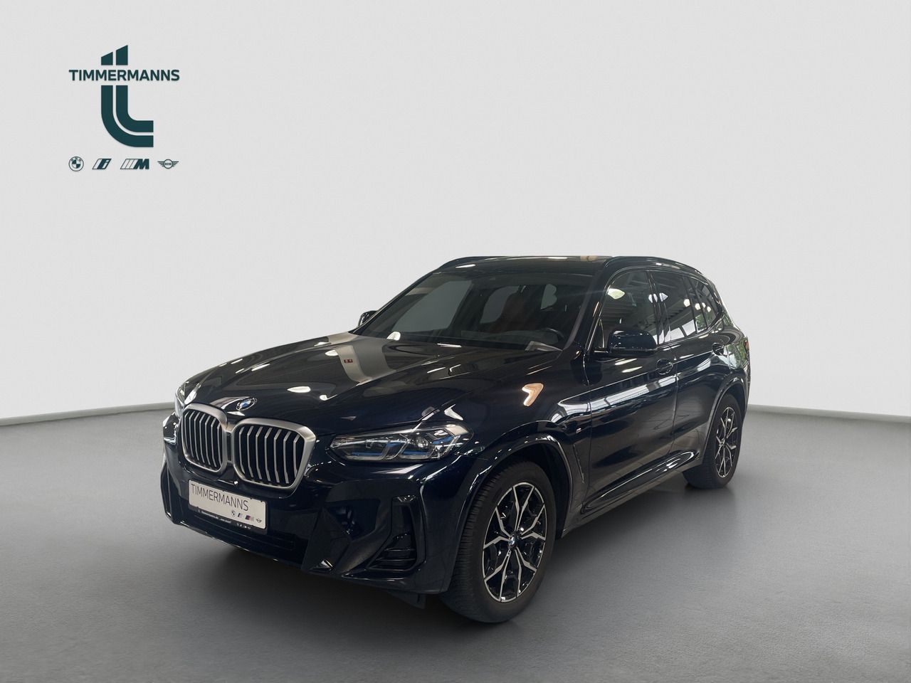 BMW X3 xDrive30d M Sport HUD Pano Memory foto 1