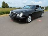 Mercedes-Benz Mercedes CLK 320 Cabrio - Mercedes-Benz CLK 320 aus 1999: Cabrio
