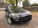 Fiat Punto Pop - Fiat Punto aus 2014