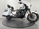 Indian CHIEFTAIN DARK HORSE *SCHECKHEFTGEPFLEGT - INDIAN CHIEFTAIN DARK HORSE
