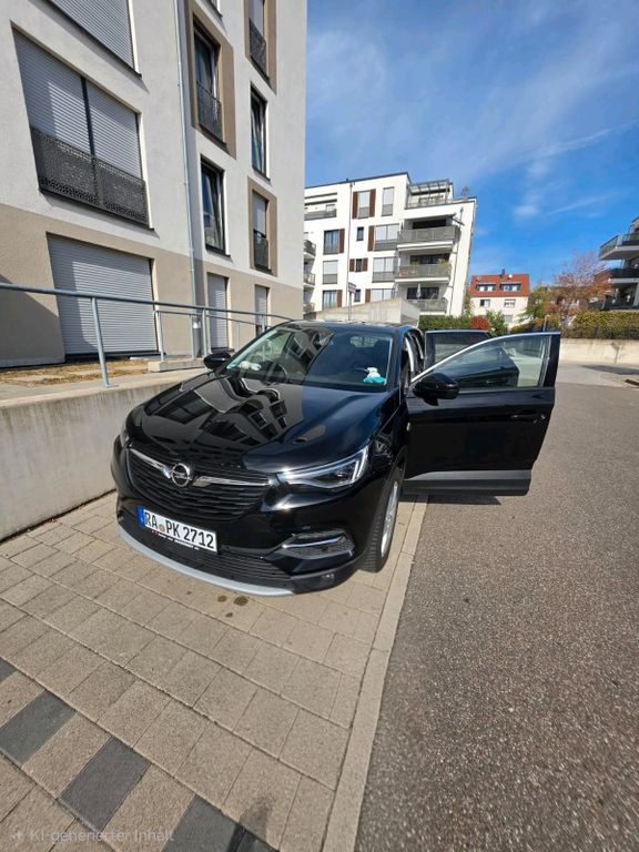 Image of Opel Other
