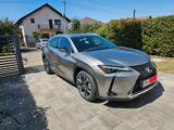Lexus UX 250h Luxury Line MarkLevinson - Lexus UX von privat