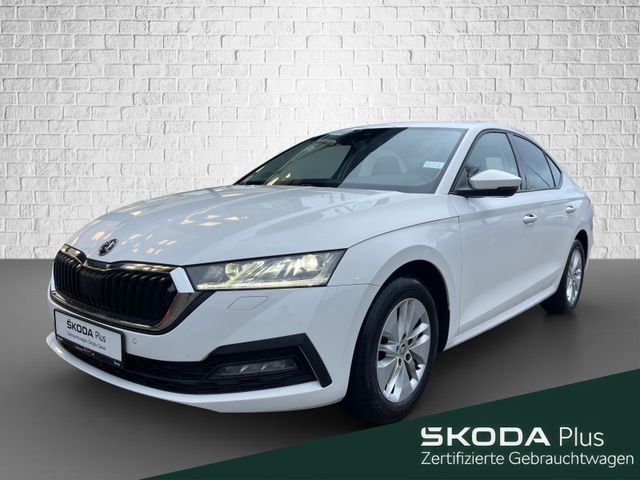 Skoda Octavia 2.0 TDI DSG  - Ambition ACC DCC