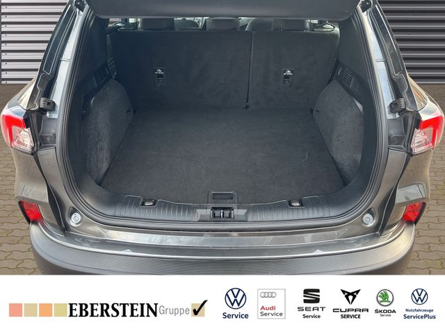Ford Kuga 1,5 Eco Boost Cool & Connect  Allwetter