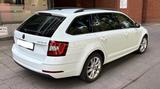 Skoda Combi 1.0 TSI | AHK | 8x Alu | TÜV 2027 | 1.Hand - Skoda in München