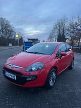 Fiat Punto 1.2 8V POP POP - Fiat Punto in Gelsenkirchen